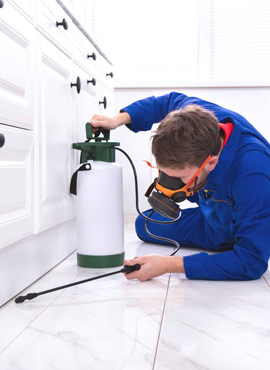 Best Pest Control Services in Hyderabad
